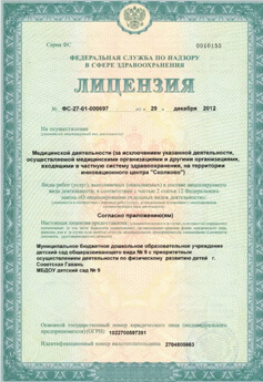 Лицензия 01