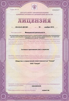 Лицензия 02